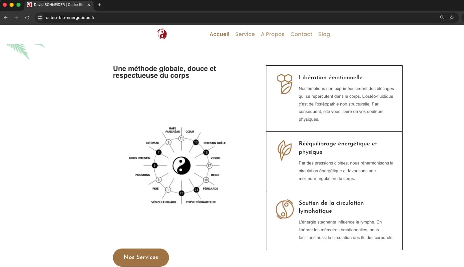 Capture d'écran du site web de David Schneider, praticien en ostéo-fluidique à Carsac-Aillac, après refonte